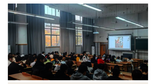 微信截图_20211122082315