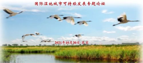 微信图片_20211110145936